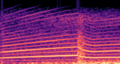 Spectrogram for F0 Definition sample 080 - Direct Crank-based