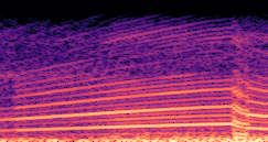 Spectrogram for F0 Definition sample 095 - Ground Truth